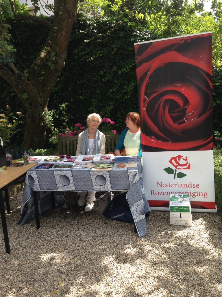 IMG 3999 scaled