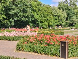 20250628 171504 rotated