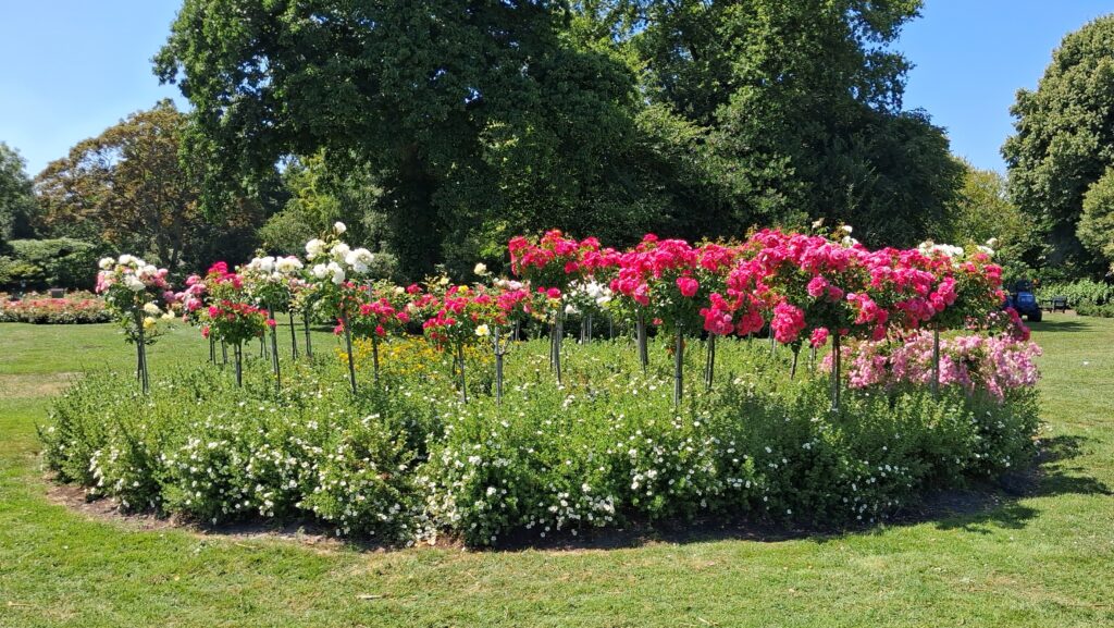 Westbroekpark