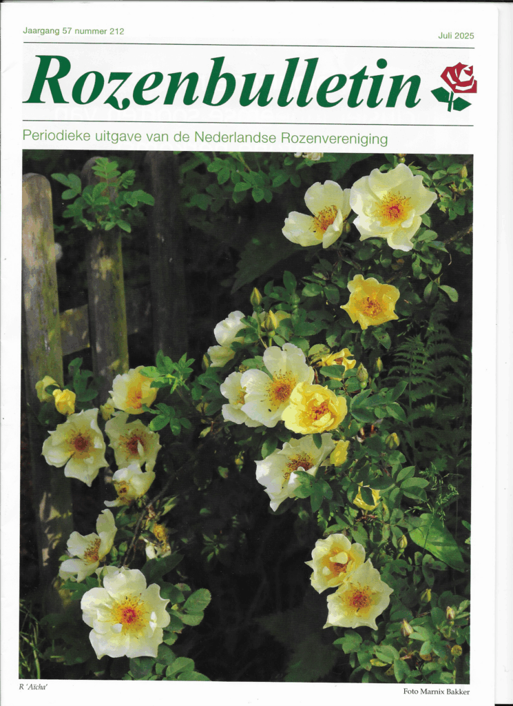 Rozenbulletin juli 2025