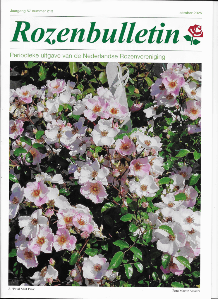 Rozenbulletin okt 2025