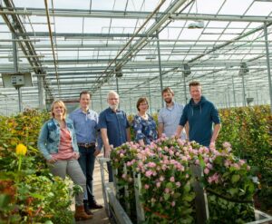 Rozenkwekerij Van der Hulst a