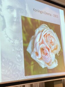 ALV Rosa Koningin Emma