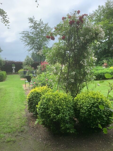 Hof van Eigenaardigheden R Guirlande D'Amour en R Amadeus