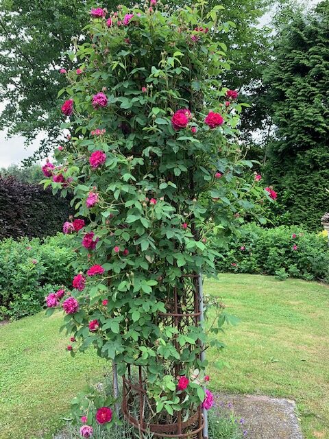 Hof van eigenaardigheden