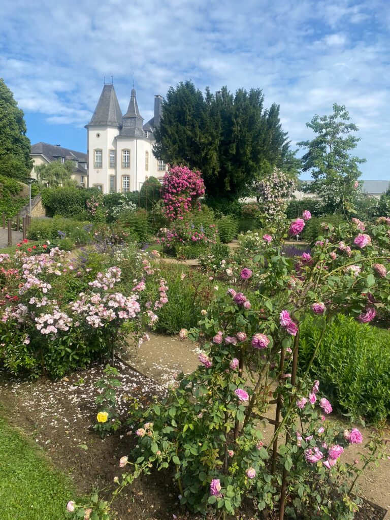 IMG WARozenreis Munsbach
